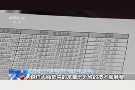 MCN公司偷税骗补 涉案金额达2.26亿图片