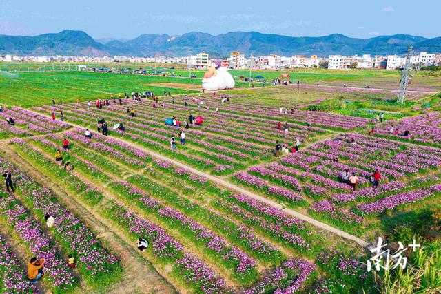 郁南南江文化盛宴即将开启！吃喝逛游攻略码住→