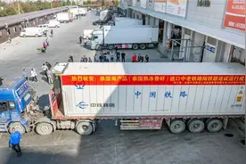 泰国海鲜首次搭乘中老铁路列车销往中国图片