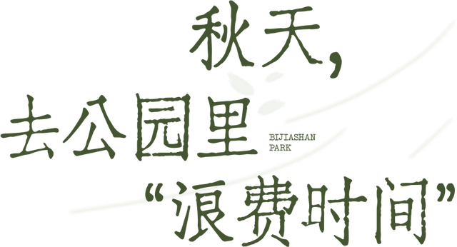 开在公园里的玻璃书房 · 深圳新安静空间