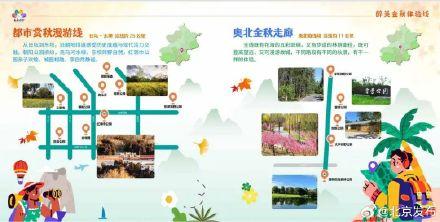 你可以永远相信北京的秋天！最全赏秋攻略→