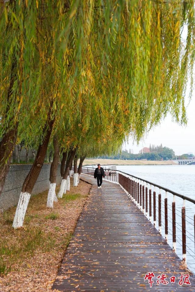 来常德，寻一抹初冬的诗意