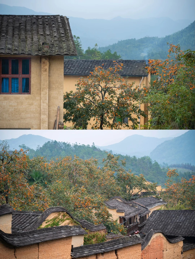 追柿归来！屏南3个古村落亲测好拍好玩好美！建议两天一夜游