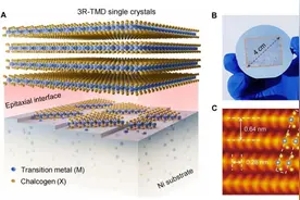 科技创新年 ｜ 祝贺！北大两项成果入选！图片