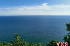 （文化中国行）辽宁两处世界级候鸟栖息地诞生记图片
