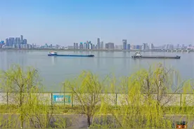 鱼群跳跃是地震前兆你，这些网上流传的说法靠谱吗图片