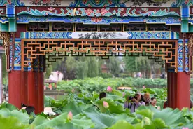 昆明大观公园夏荷初放引客来图片