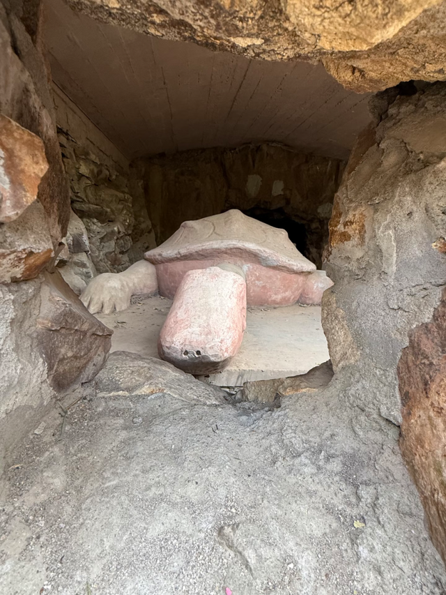 打卡乡野丨新年第一站，去上海离宇宙最近的村子，仰望星空，脚踏田野，开启元气新年