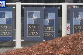 再抛“涨军费”论！特朗普称北约成员国不付钱就没有保护图片