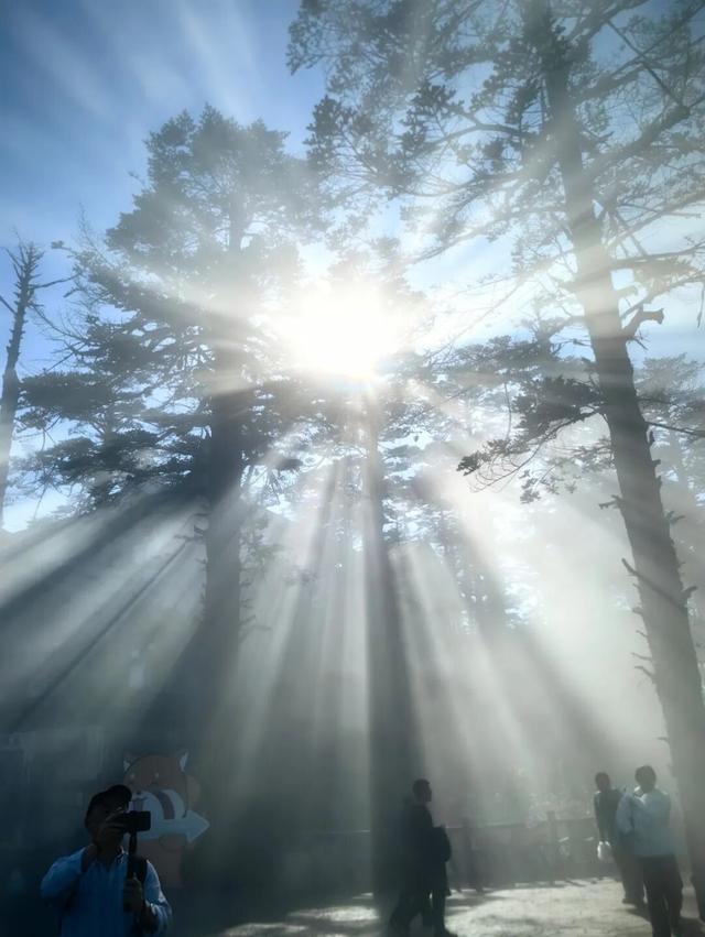 “云上瓦屋” 上线！本周绝美云海频出，这仙境谁看谁震撼！