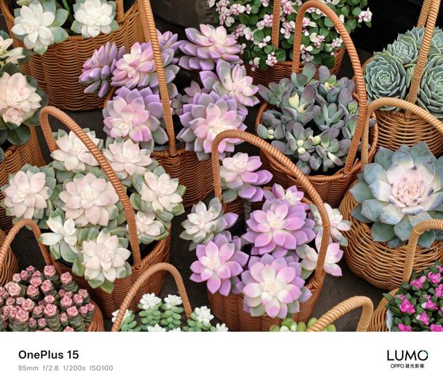 旗舰体验迎来新高度，165Hz+性能“Ultra”越级：一加15评测