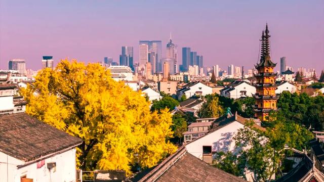 好景成双，来定慧寺巷邂逅小确“杏”