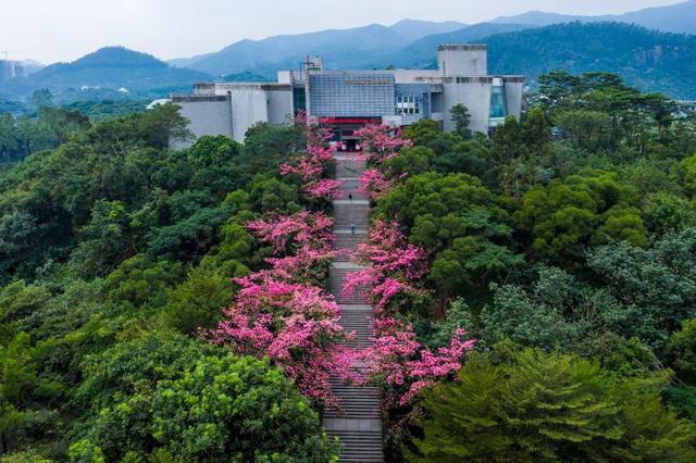 “粤游粤红”第三届广东红色旅游季，今天在东莞启动！