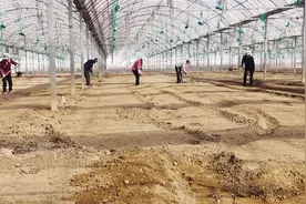 兰州市西固区全力做好春耕备耕工作图片