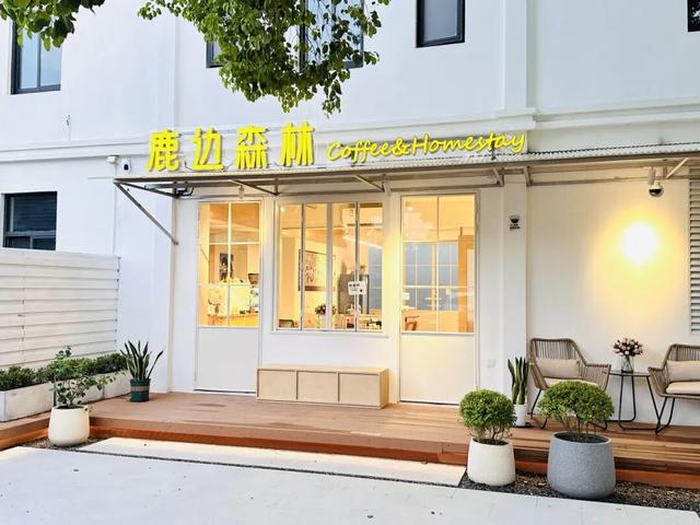 青浦水岸音乐节的保姆级住宿攻略快快收下！还能使用文旅消费券哦～