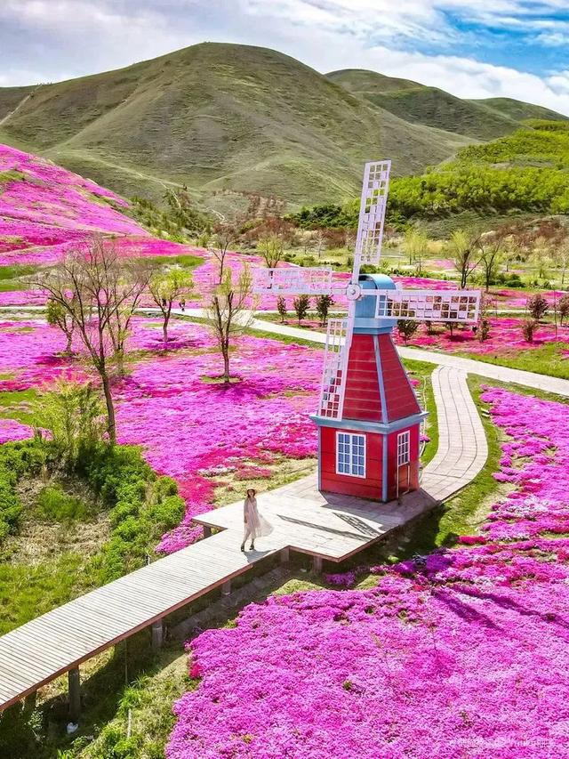 “C牌城市”出圈！从荒漠戈壁到花园城市，新疆这一地大变样！