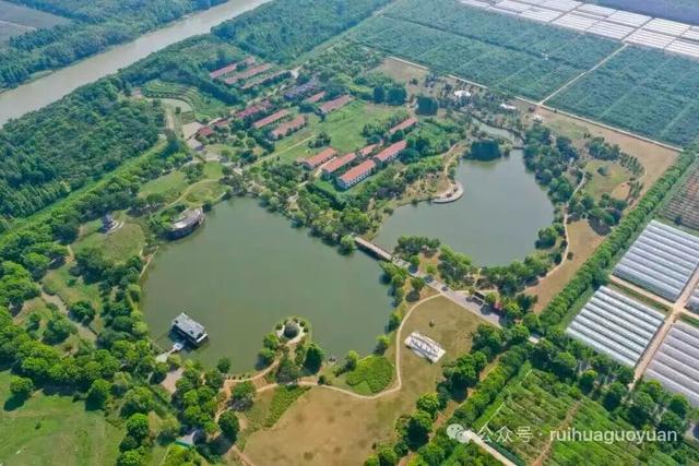 上海工会会员服务日来啦！第一波上线：光明田原与瑞华果园最佳草莓采摘季！免门票、85折！