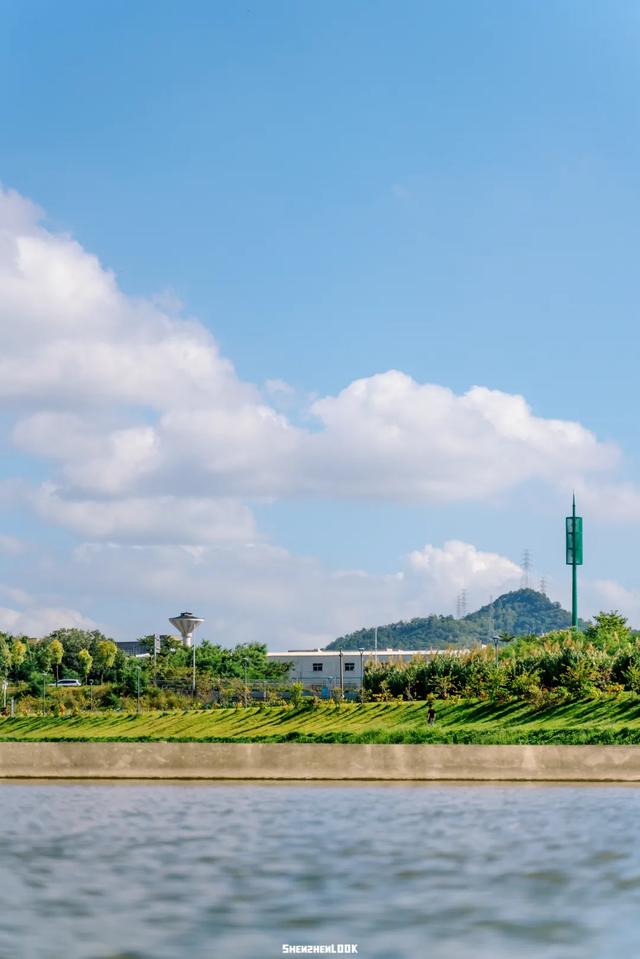 在坪山赴一场“海”的约会