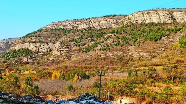 9.9元！深秋里寻一处静谧！本周六出发，打卡长清王泉摩崖石窟、义静寺！