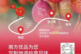 南方优品荔枝季 | 跟着荔枝游广东图片