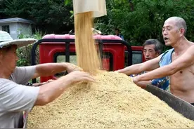 四川山丘地区秋收见闻图片