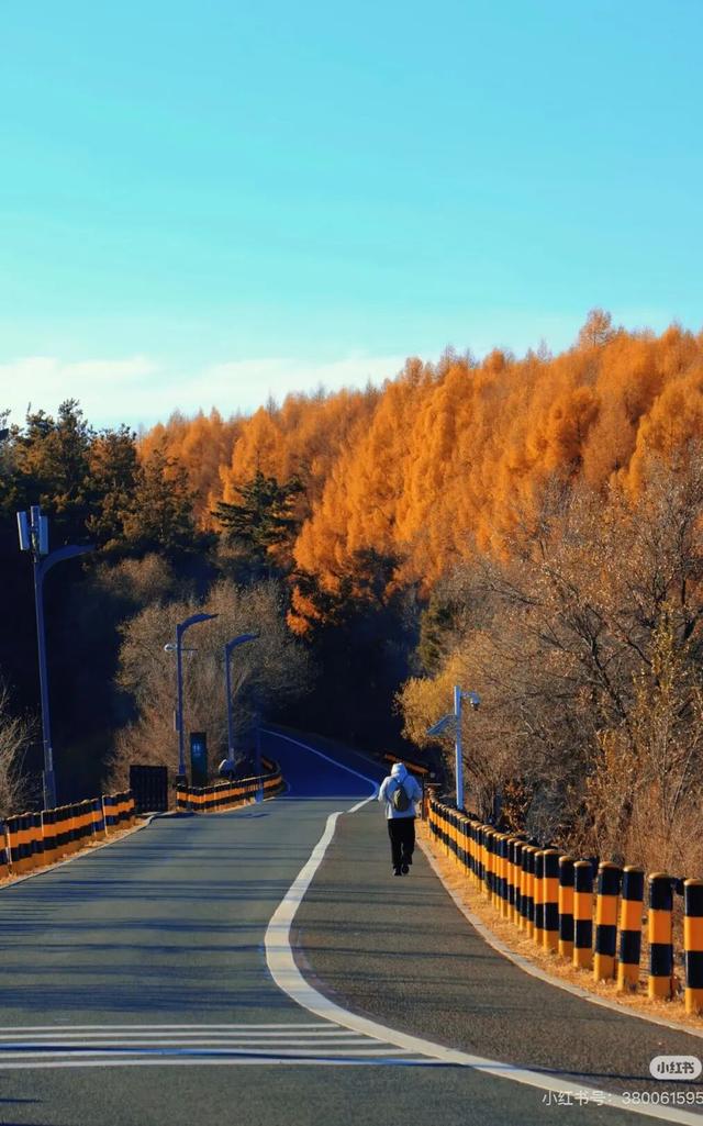一半秋色在净月潭 另一半在你的镜头里→