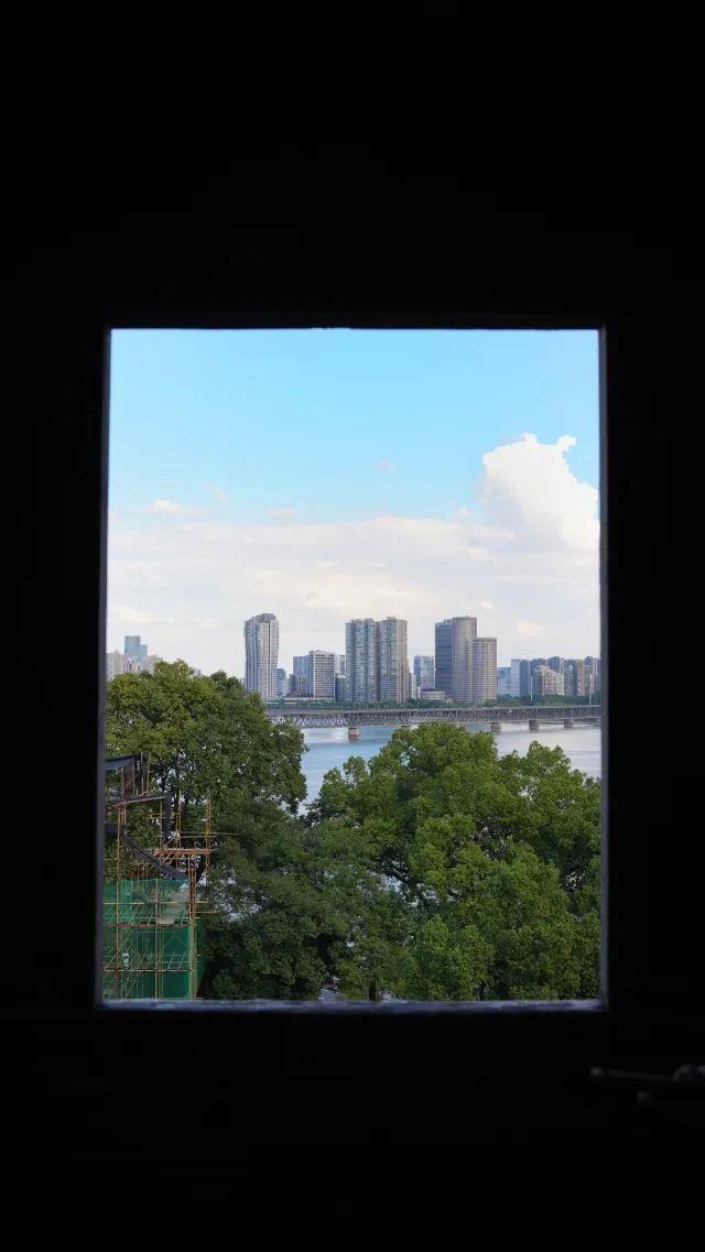 已实施限流！西湖边著名景区突然爆火，天天围满人！大家统一动作，紧急提醒……
