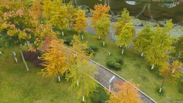 仪陇的秋天很美啊!