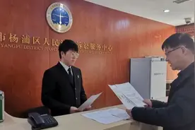 给诉状做“减法”，首份表格化、要素式起诉状来了图片