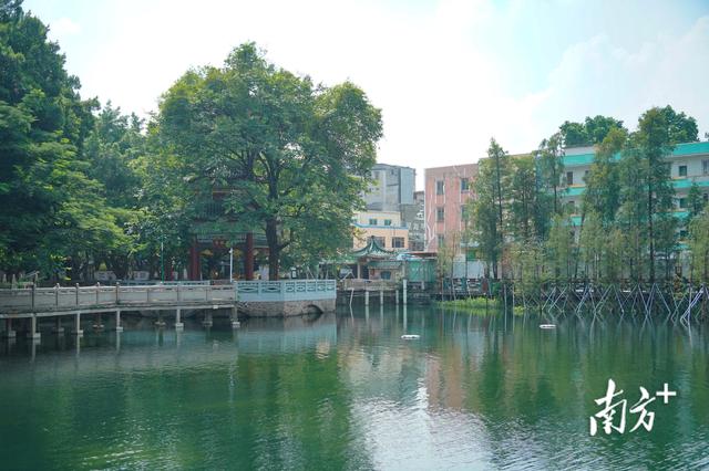 百年中山公园将全新开放，东莞城工集团以匠心守护城市记忆