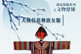 【遇见楚雄】今日立冬，且看彝族服饰中的那一抹亮色图片