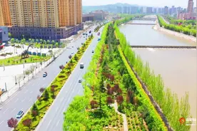 又是一年赏花时 河州牡丹含苞待放迎客来图片