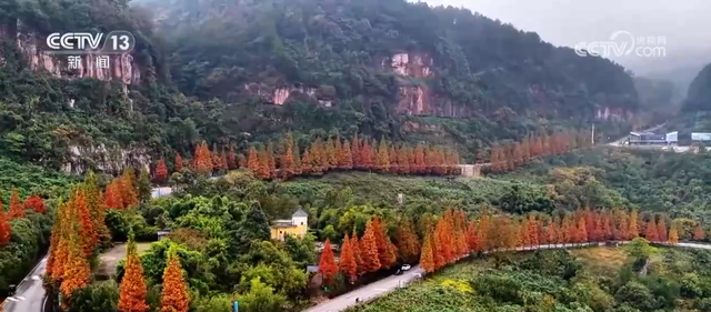 各地解锁秋冬限定美景 一键Get冬日出游新场景新玩法