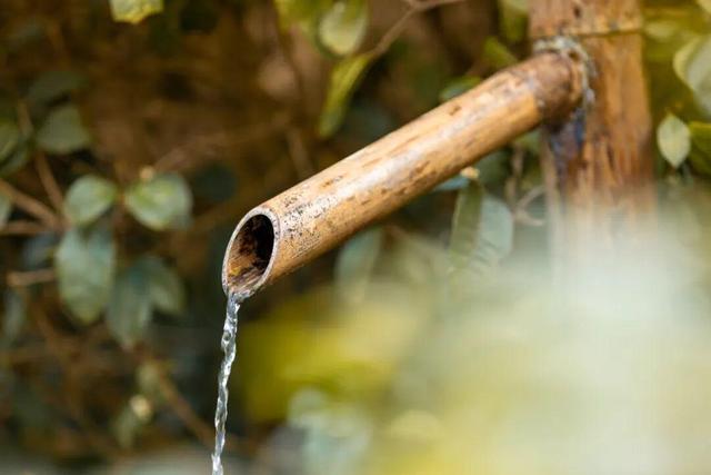 打工人的解压密码！在神农谷森林浴场，找回满格快乐