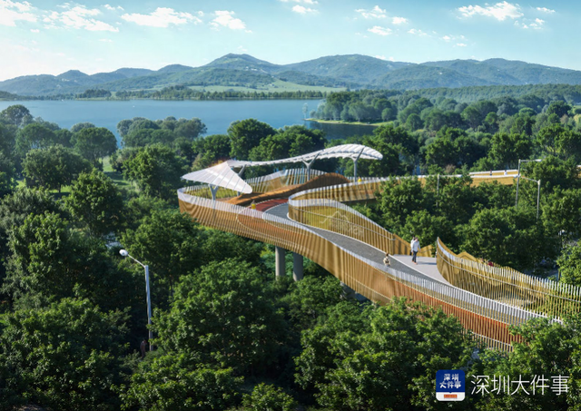 湖光山色串起八园风景 深圳罗湖“翡翠项链”全线点亮