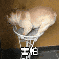 会飞、会爬，不少人家中出现！提醒：发现请立刻扔掉