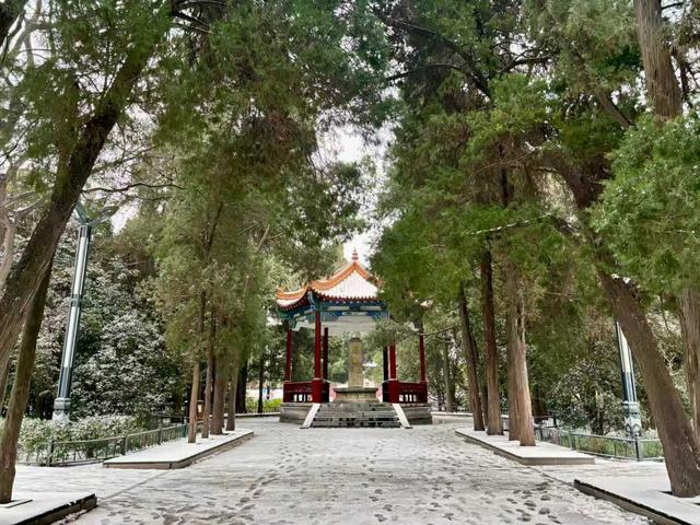 初雪覆城 “碧沙”入画