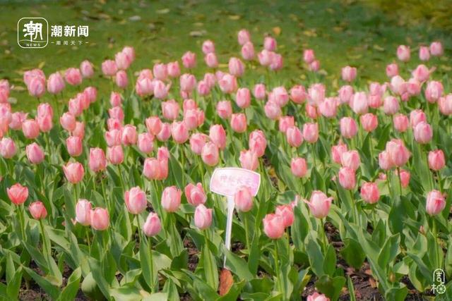 2026，我们与你续写旅途故事