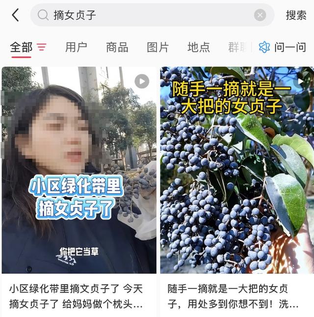 界首街头大量出现！别碰！别吃！