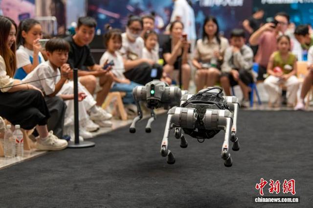 浙江金华：体验科技魅力 乐享暑期生活