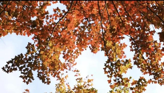 现在的黔南，已经美成这样了→