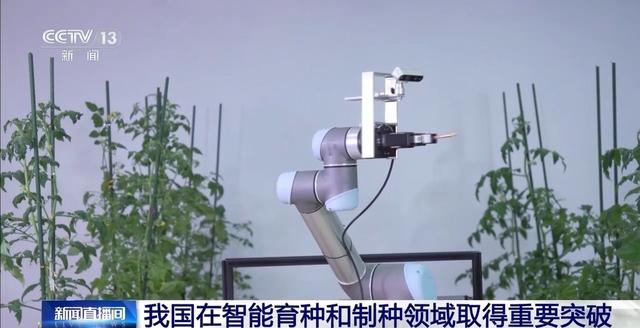 我国研制出世界首台智能育种机器人“吉儿” 取得重要突破