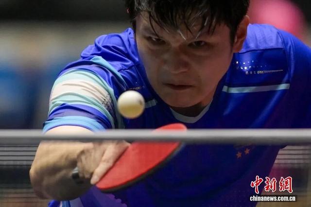 媒体：樊振东伤痕不再可见