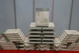 鉴赏古韵精华，探索文化现代意义：王蒙新作《诗词中国》发布图片