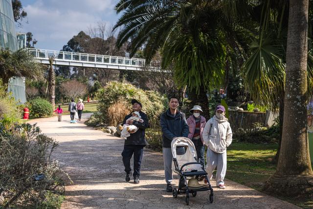云南昆明：冬日绿意暖