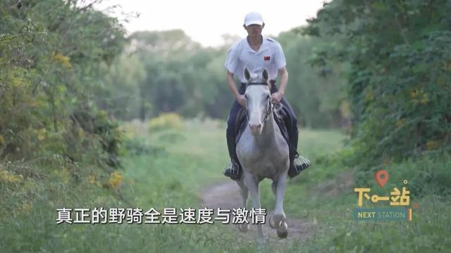 魔都隐藏新玩法！上海人的“草原梦”要实现了，就在这里↗