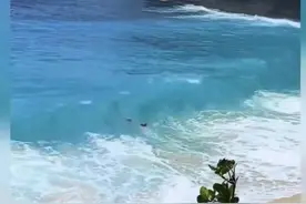 “我只想找到你”，中国小伙海滩遇险被“海王”救起！全网寻找救命恩人图片