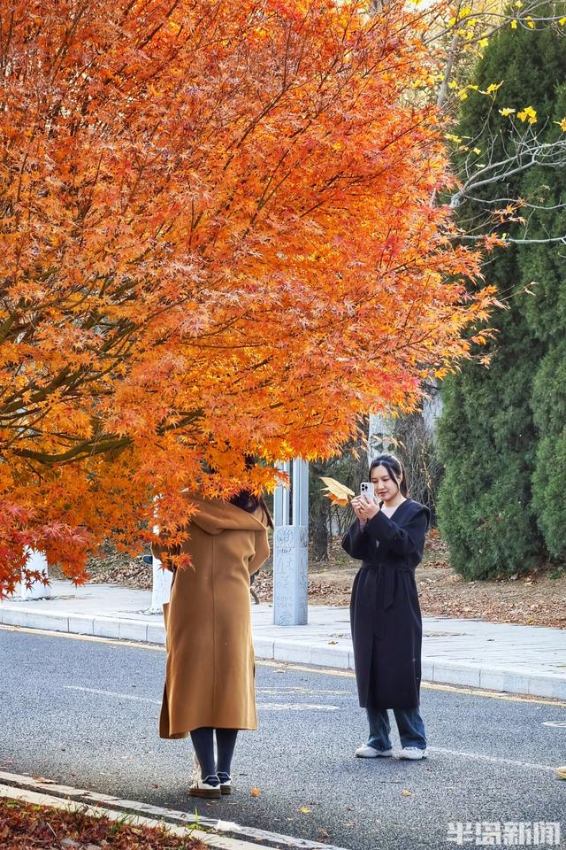 世博园冬色斑斓，暖阳周末醉游人