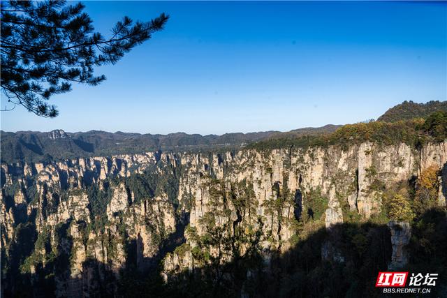 【每日一图@湖南】张家界暖冬限定！天子山暖阳沐峰林