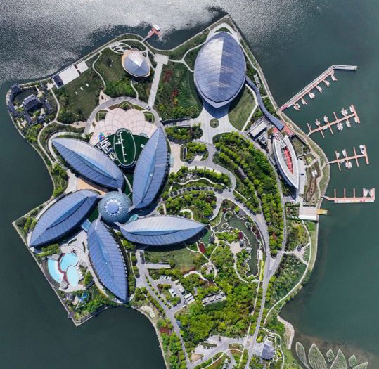 临港，如何成为节日“顶流”？